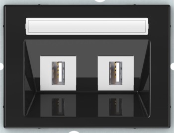 РОЗЕТКА USB 2-местная, без рамки