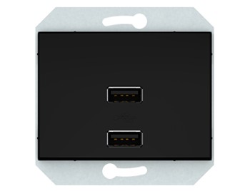 2хUSB зарядное устройство (2,1А), без рамки черный