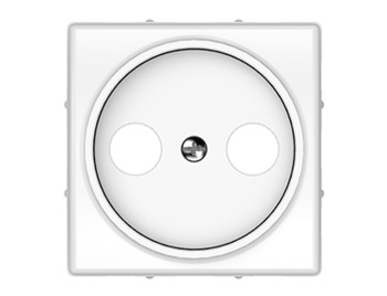 Центральная плостинка для TV+R розетки б\р