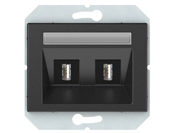 РОЗЕТКА для флешки USB 2-местная, без рамки
